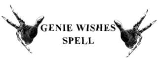 Real Genie Grants Wishes